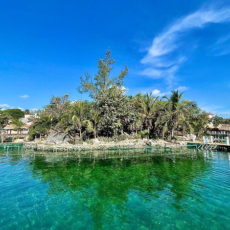 Appartamento Cozy Terrace @ Blue House Puerto Aventuras Esterno foto
