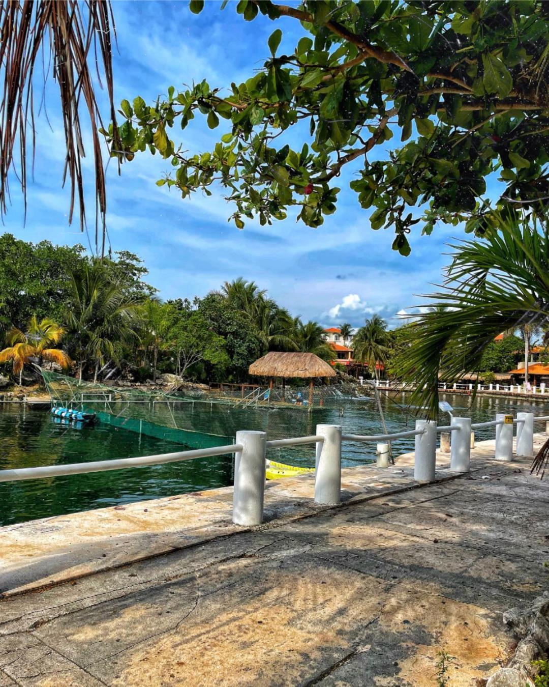 Appartamento Cozy Terrace @ Blue House Puerto Aventuras Esterno foto