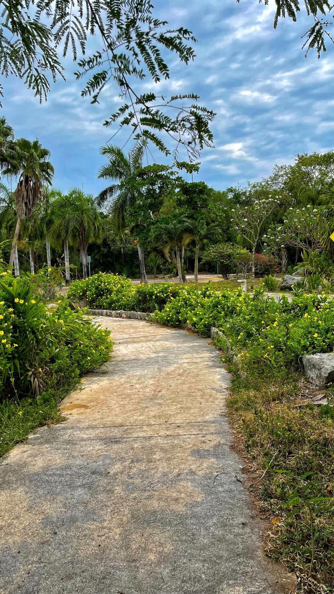Appartamento Cozy Terrace @ Blue House Puerto Aventuras Esterno foto