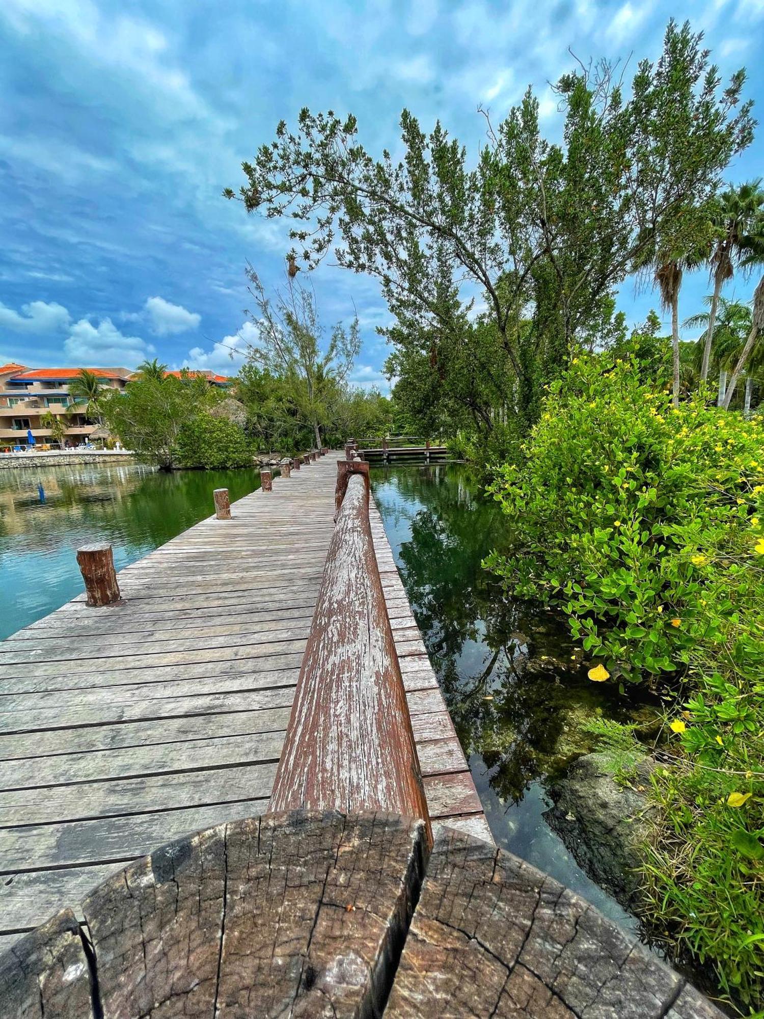 Appartamento Cozy Terrace @ Blue House Puerto Aventuras Esterno foto